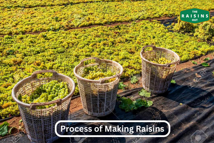 The Fascinating Process of Making Raisins