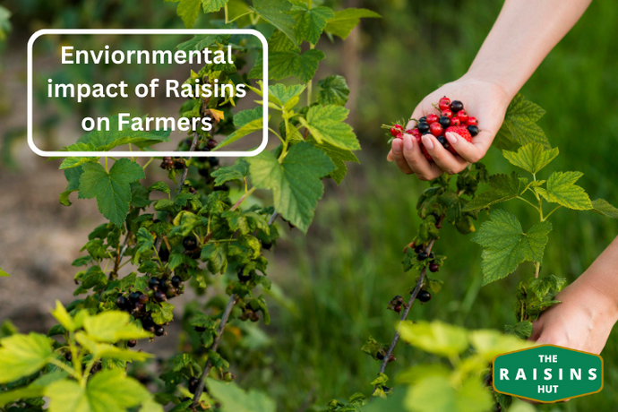 The Environmental Impact of Raisin Production on Local Communities