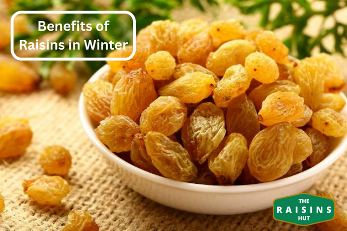 Raisins as a Winter Travel Snack: Energy and Nutrition on the Go