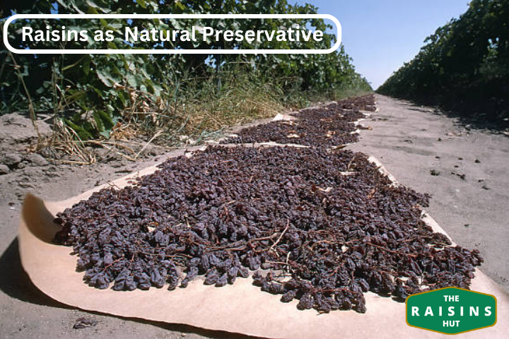 Discover the Environmental Advantages of Raisin Production by The ...