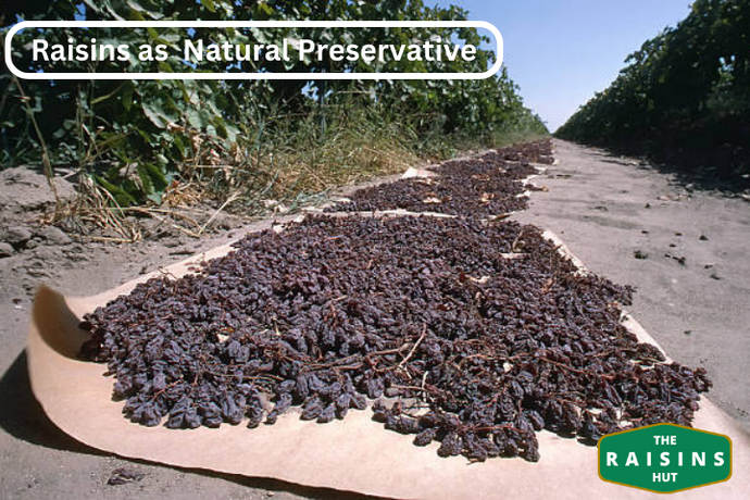 The Environmental Benefits of Raisin Production: How Raisin Farming Can Benefit the Environment by The Raisins Hut